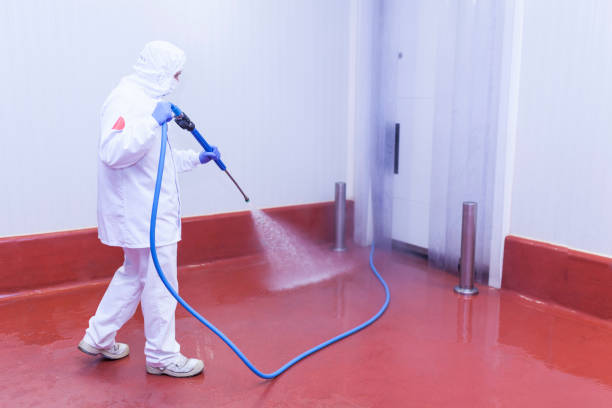 Paint Preparation in Bishop, TX