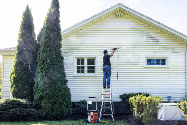 Best Roof Washing  in Bishop, TX